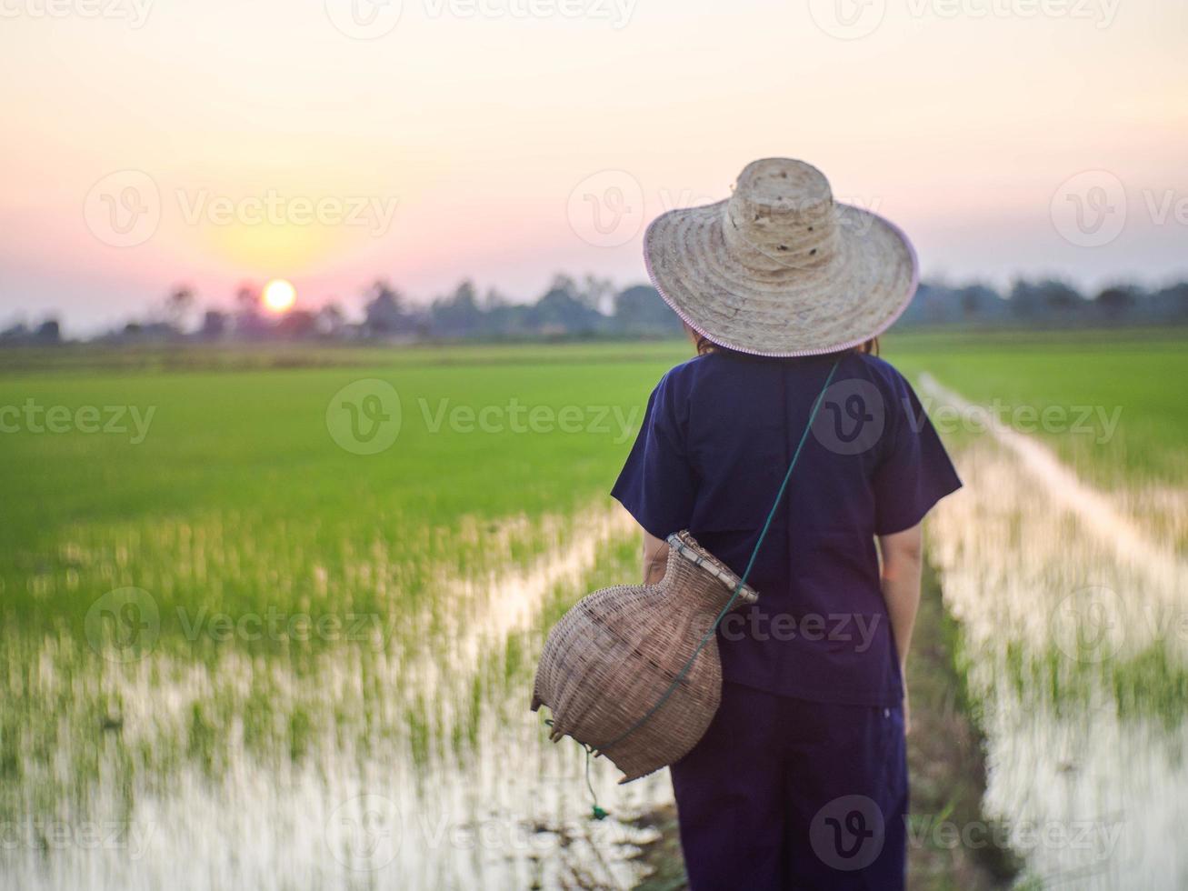 farmer is woman photo