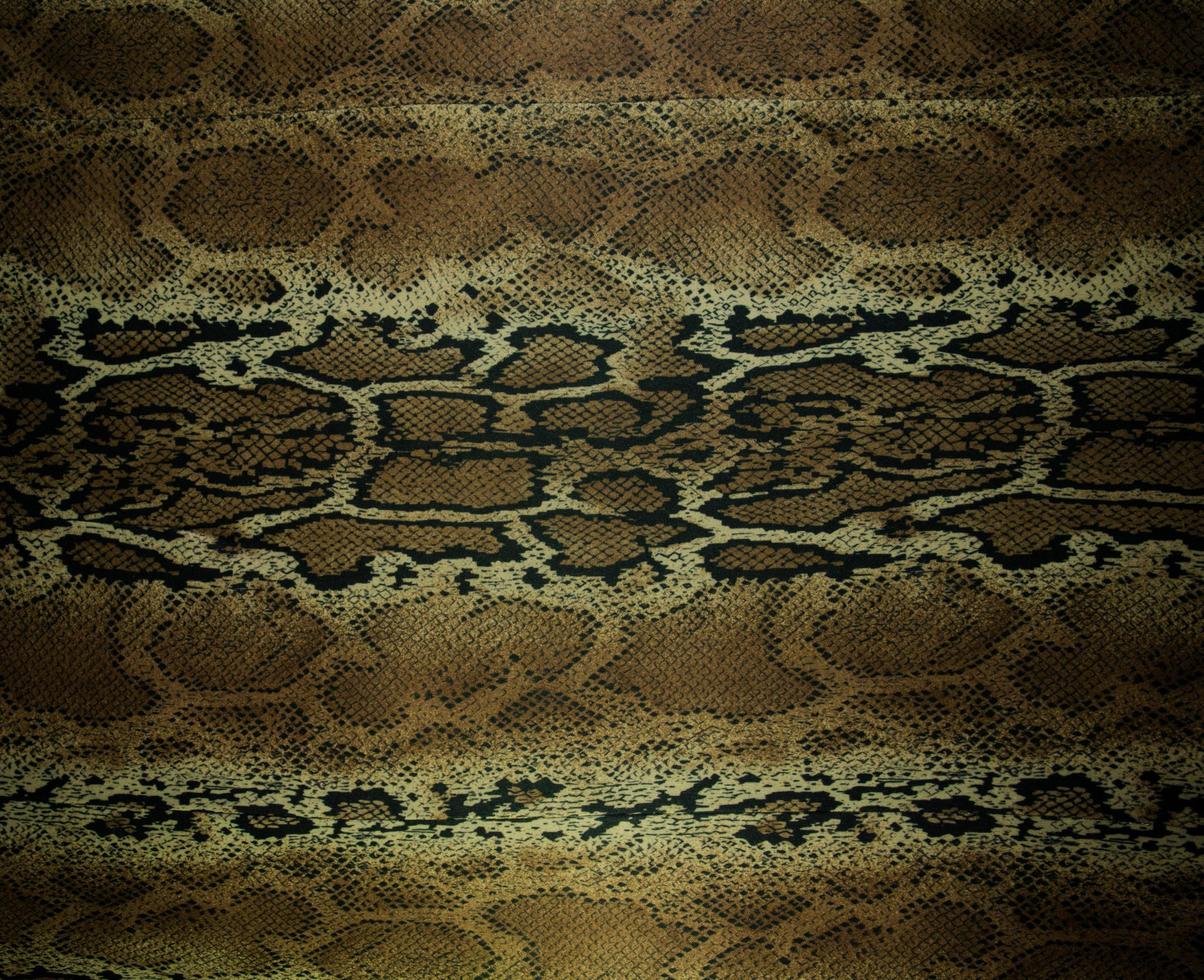 texture of fabric stripes snake leather for background photo