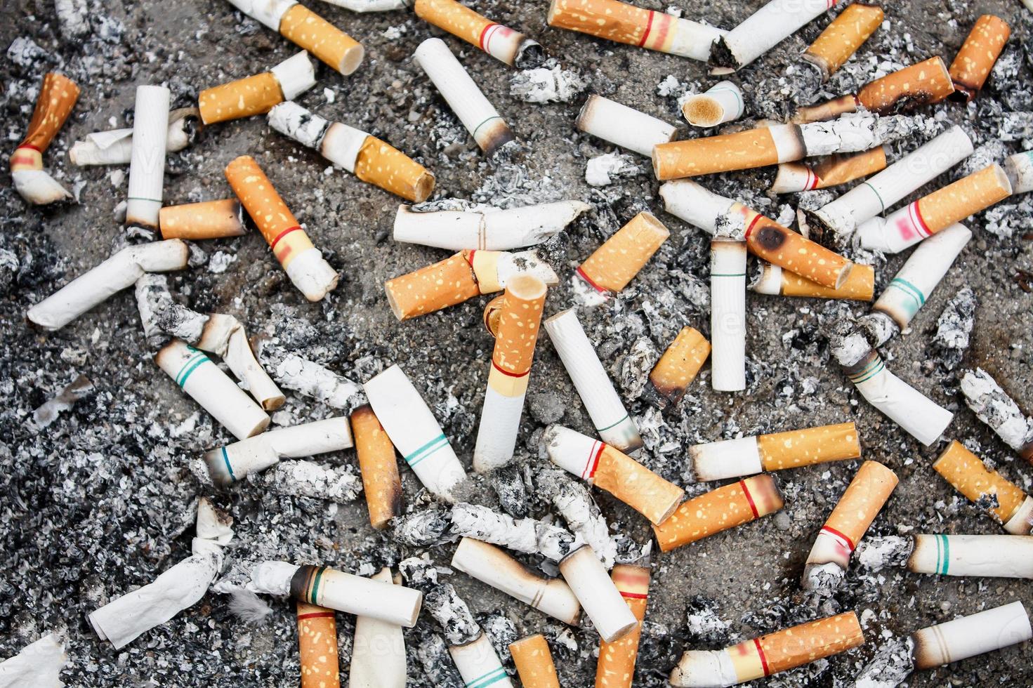 cigarette butts in ash tray photo