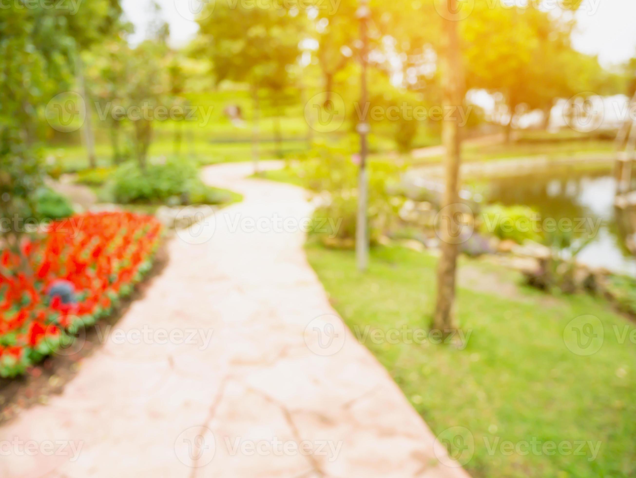 Walkway in the flowers garden blur background 6884784 Stock Photo at  Vecteezy