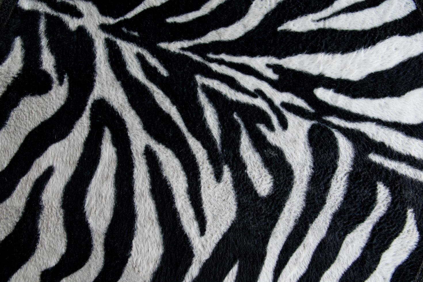 texture of print fabric stripes zebra for background photo