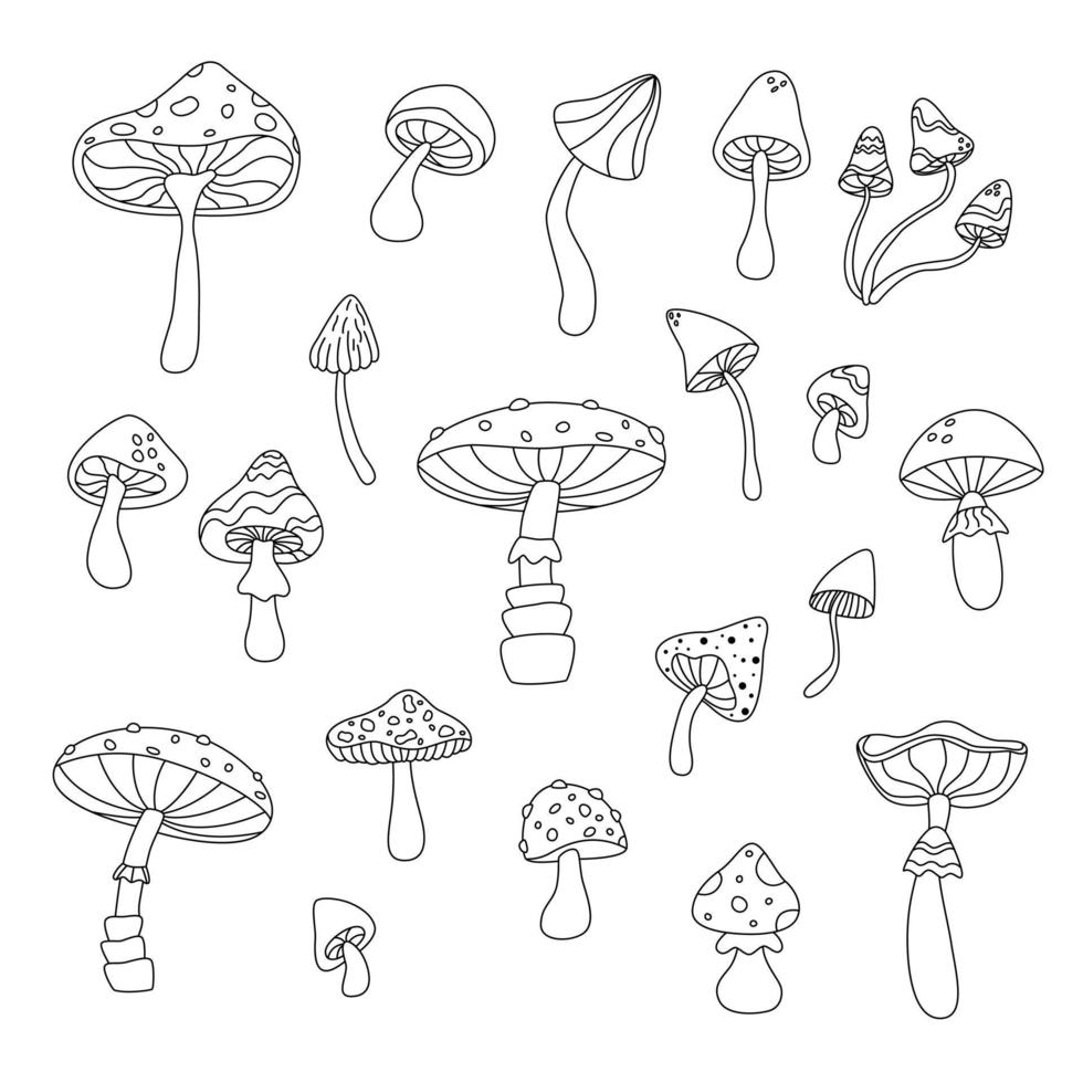 Set Of Outline Mushrooms. Hand Drawn Vector Illustration