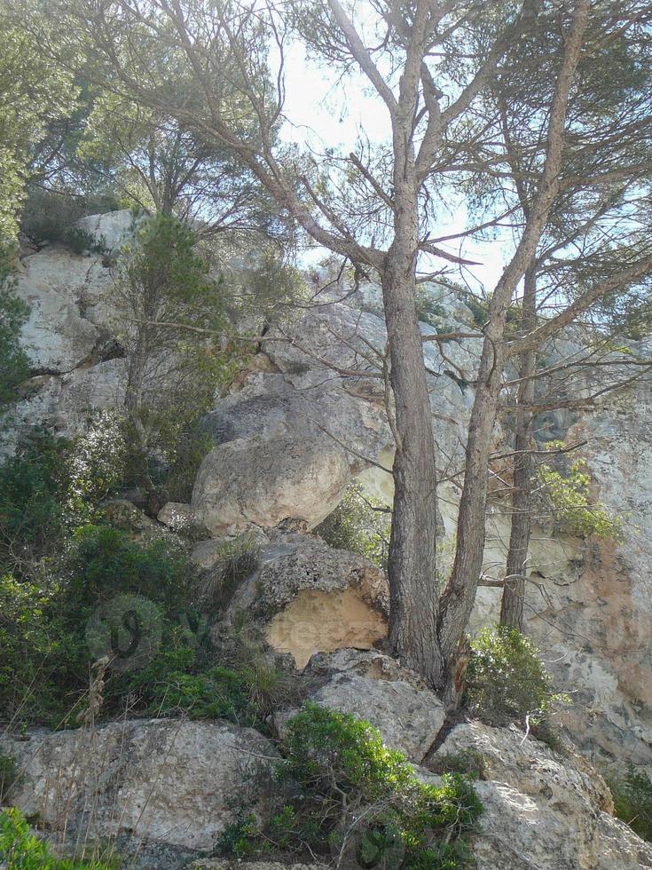 View of Cala Galdana in Minorca island in Spain photo