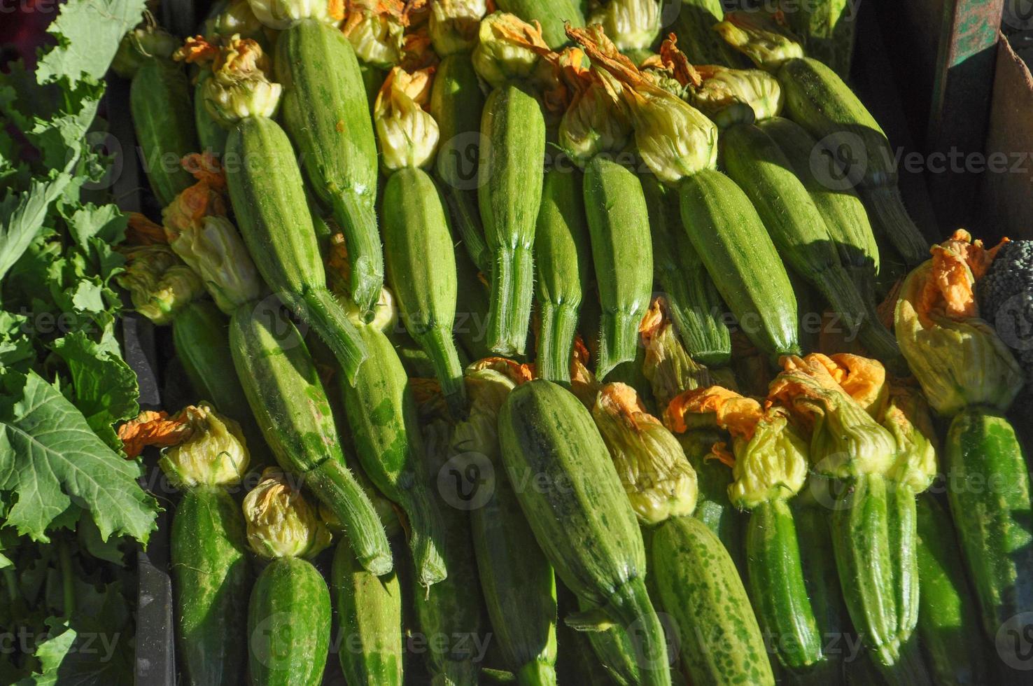 calabacín también conocido como calabacines verduras alimentos foto