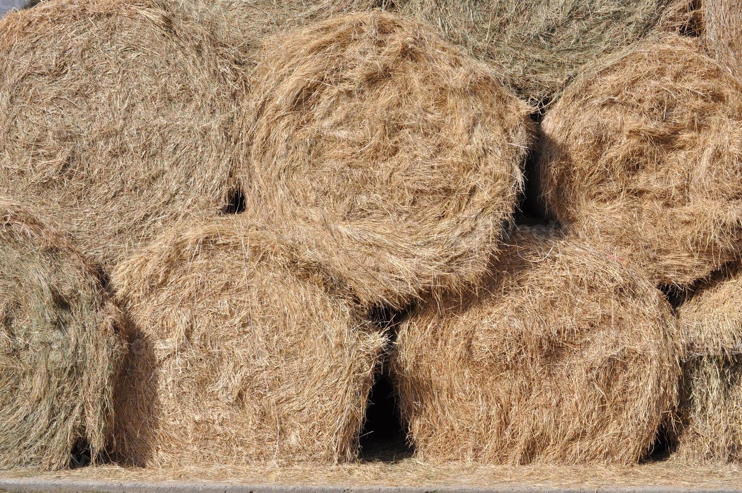 hay bale heap photo