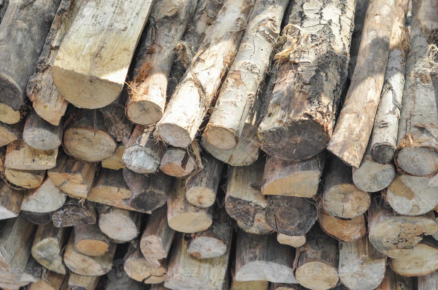 Wood logs for heating and fire cooking photo