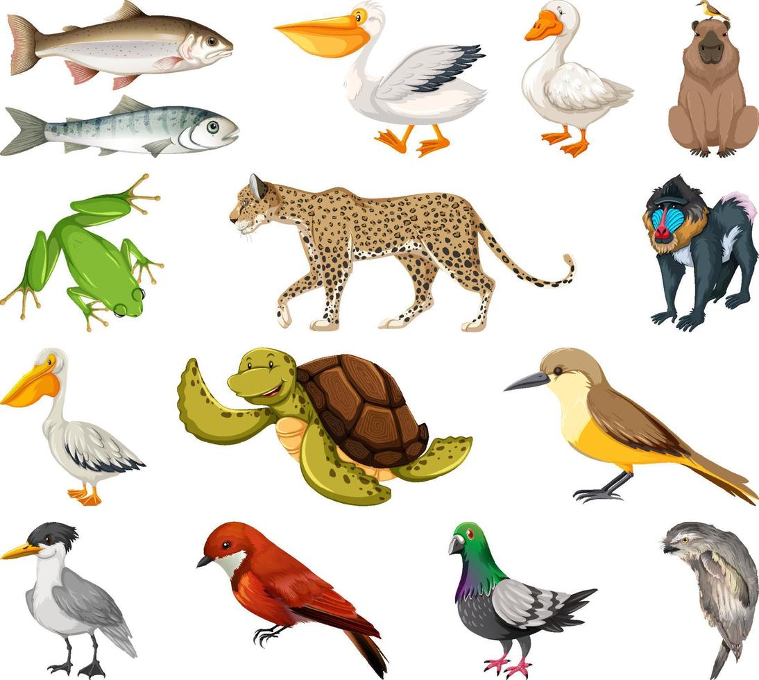 colección de diferentes tipos de animales vector