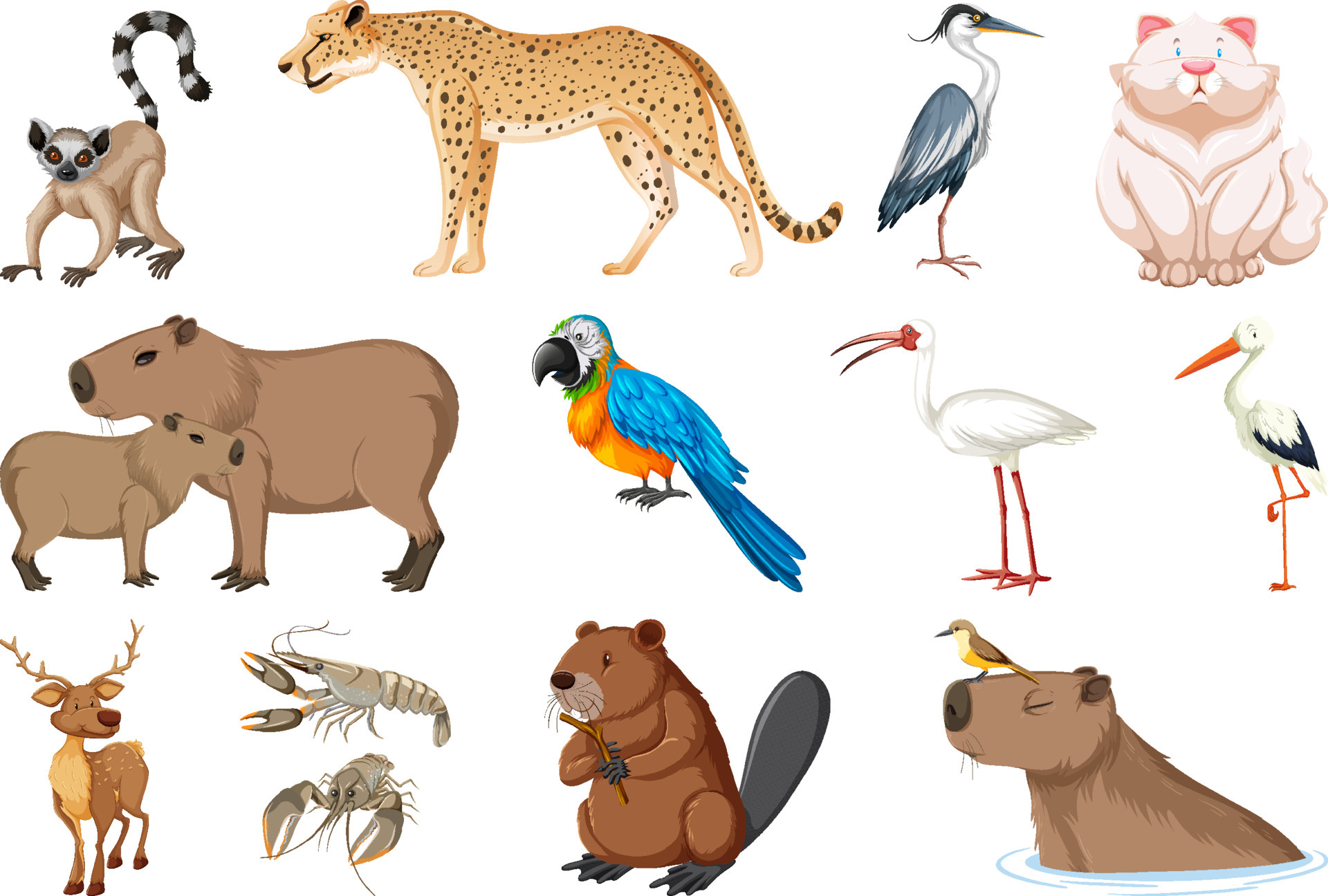 Set of different kinds of animals 6889237 Vector Art at Vecteezy