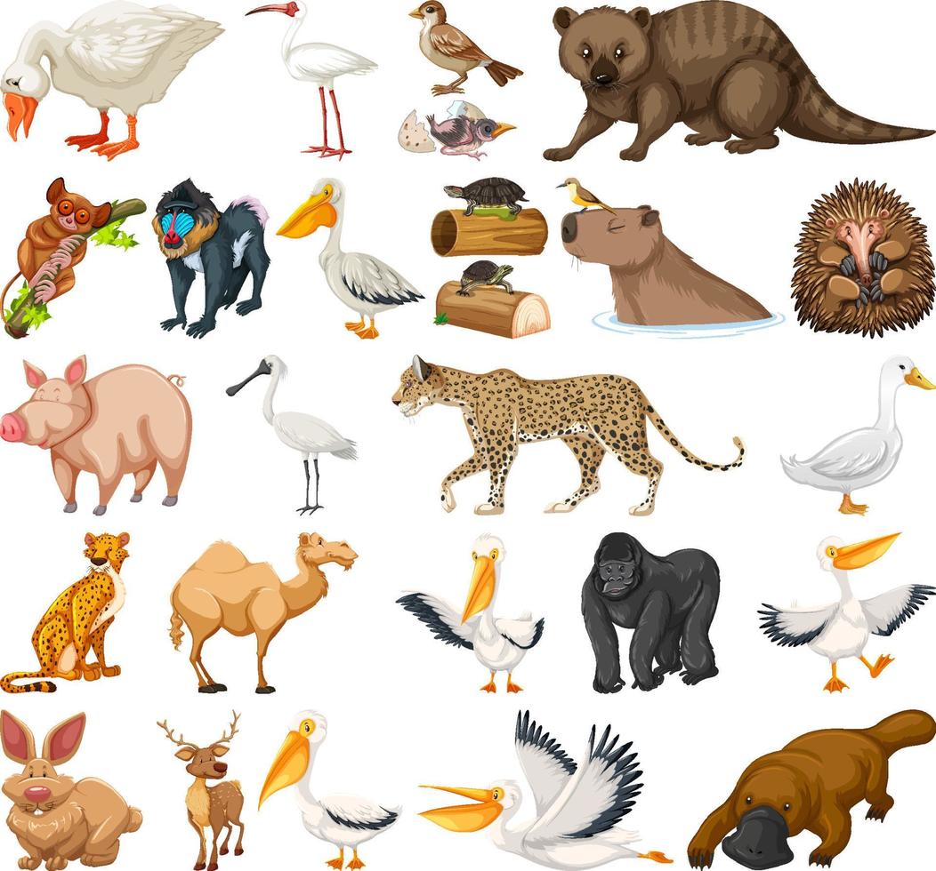 colección de diferentes tipos de animales vector