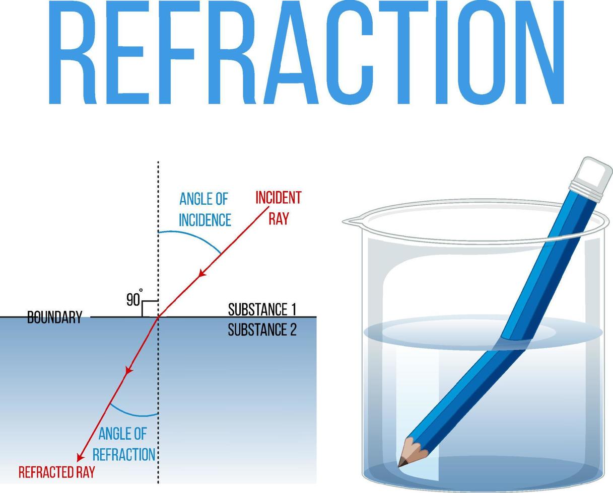 experimento científico de refracción con lápiz en vaso de agua vector