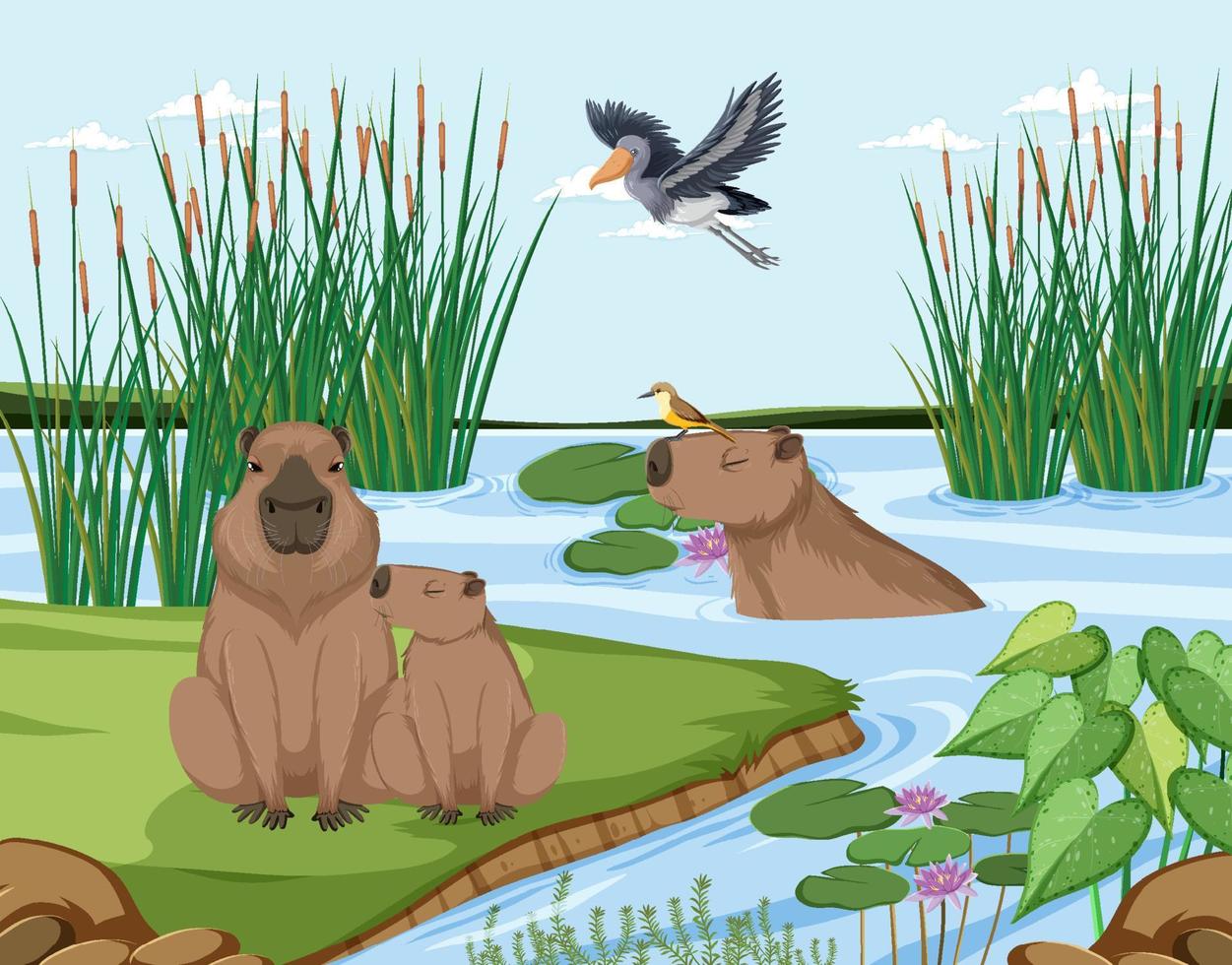 Wetland forest scene with capybara vector
