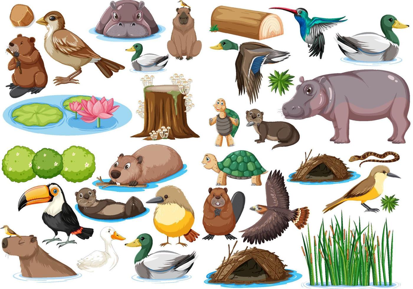 Different kinds of wild animals collection vector