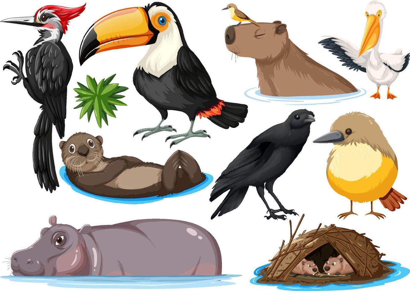 Different kinds of wild animals collection vector