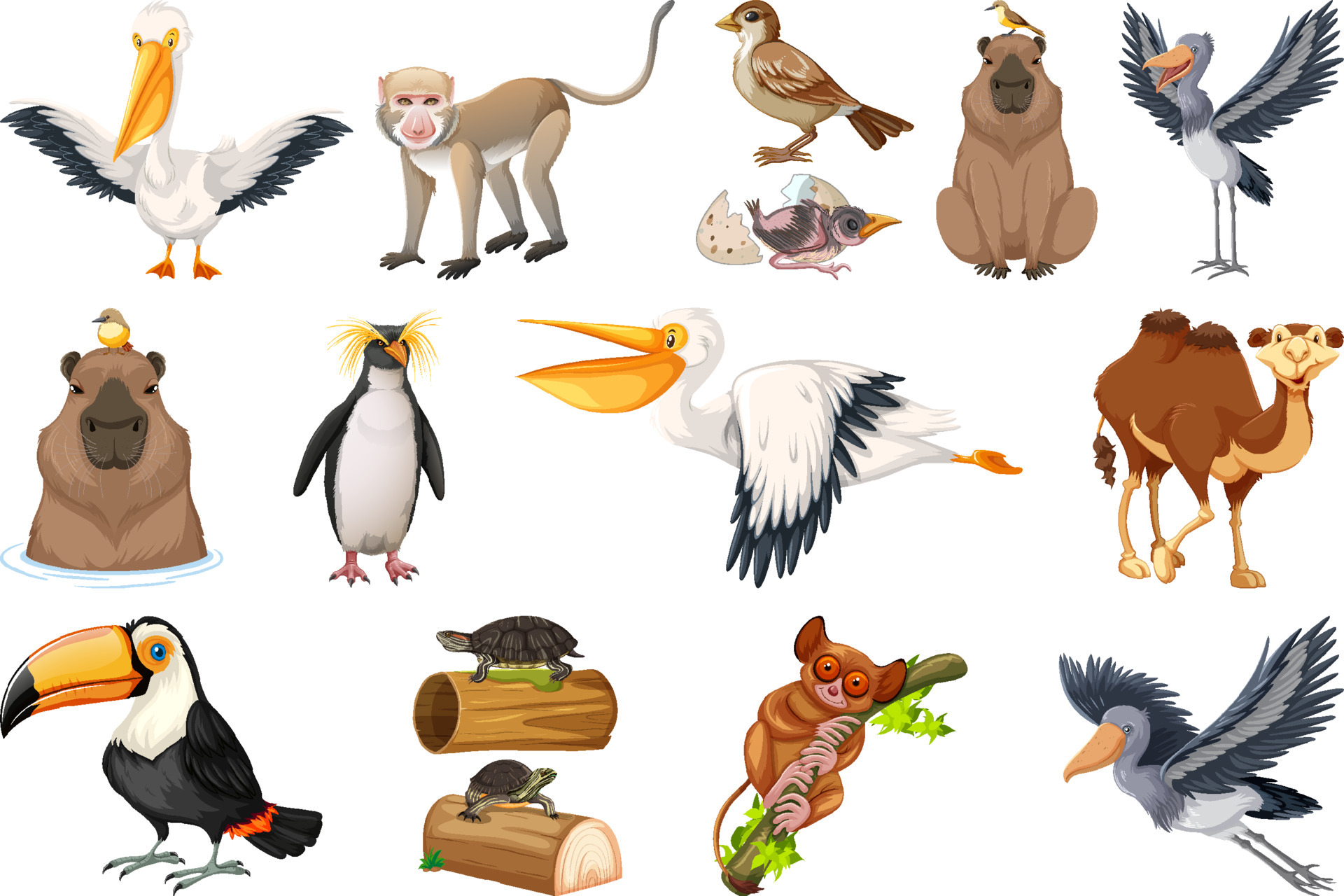 Different kinds of animals collection 6889986 Vector Art at Vecteezy