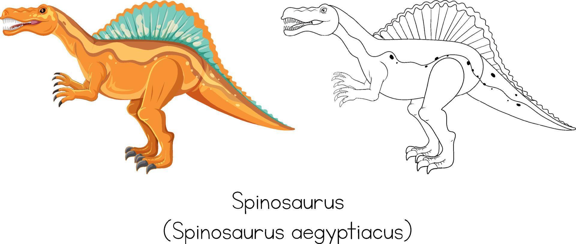 Dinosaur sketching of spinosaurus vector