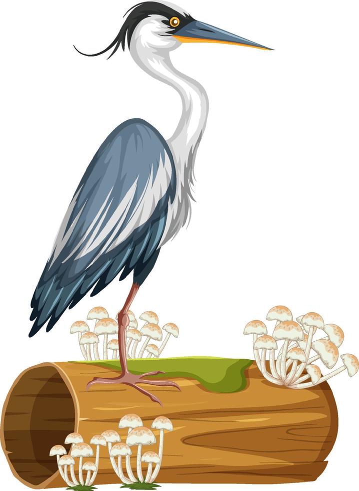 Heron standing on log vector