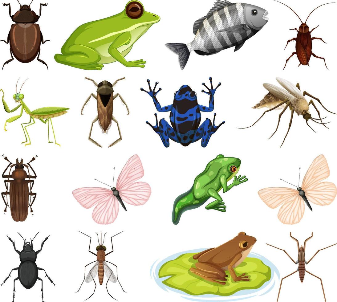 Different kinds of insects and animals on white background vector