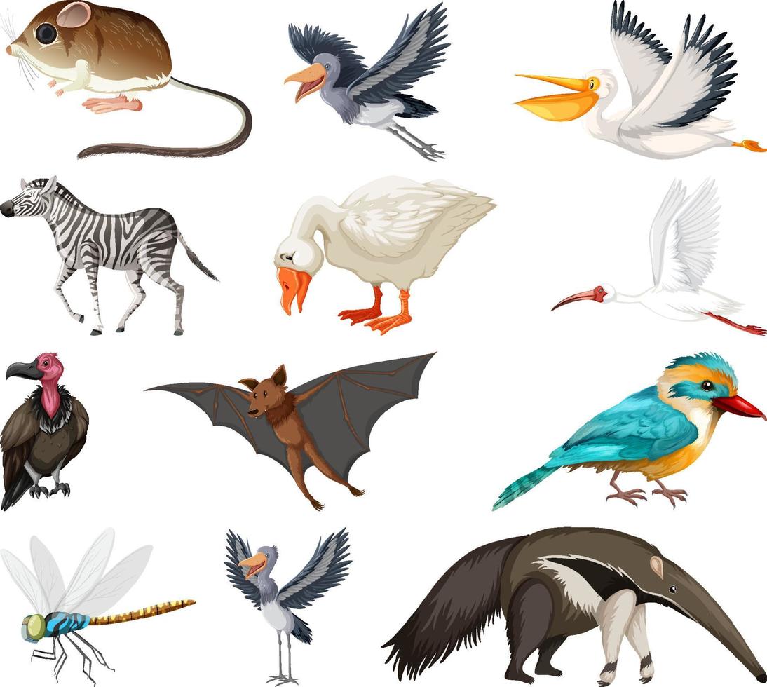 colección de diferentes tipos de animales vector