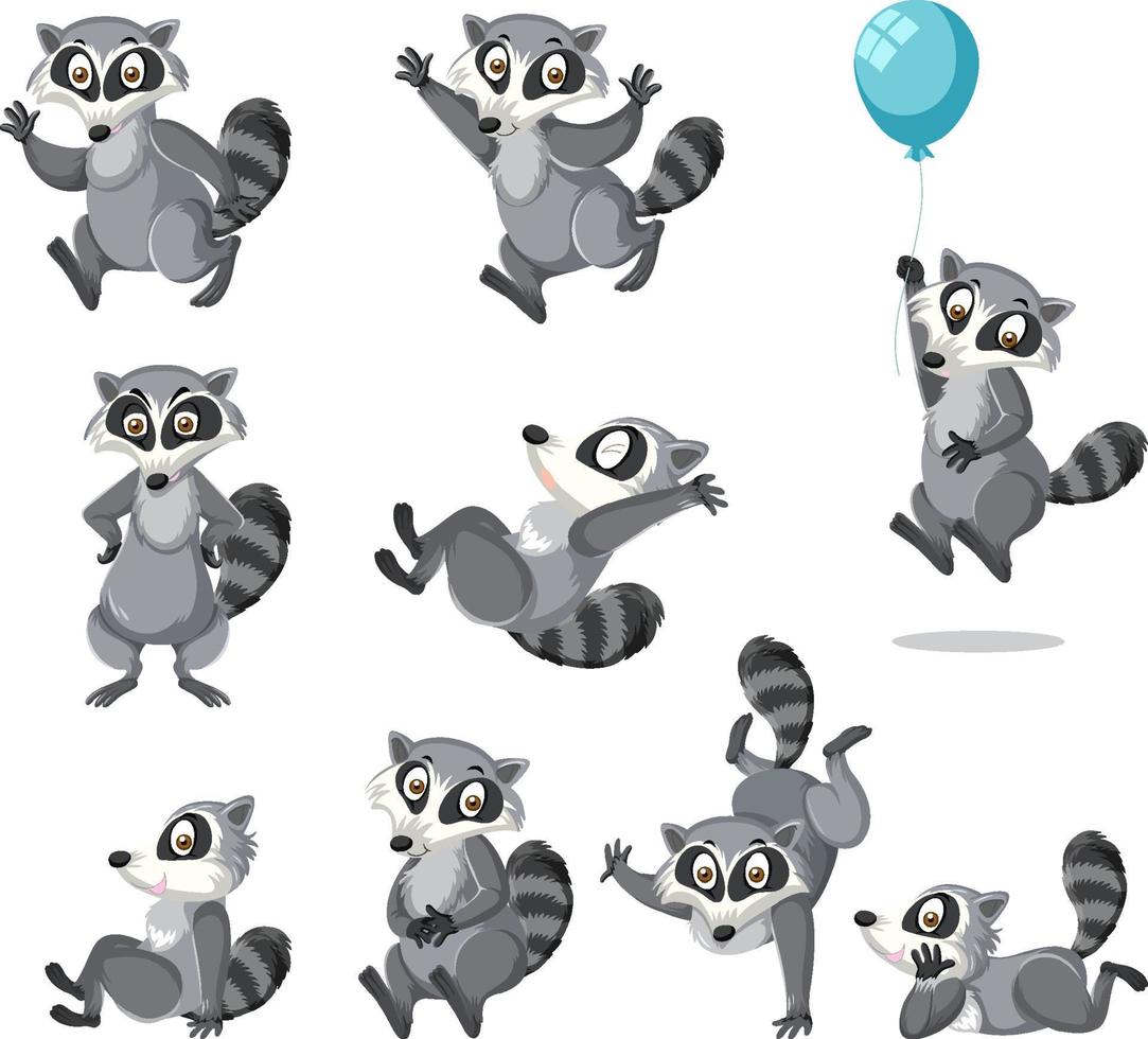 A set of raccoon expression on white background vector