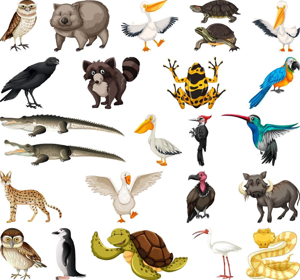 colección de diferentes tipos de animales vector