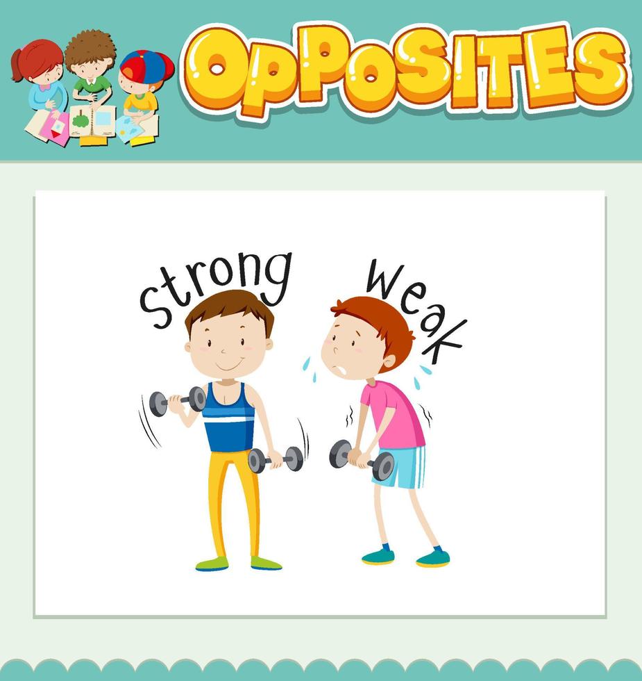 Opposite words for strong and weak vector