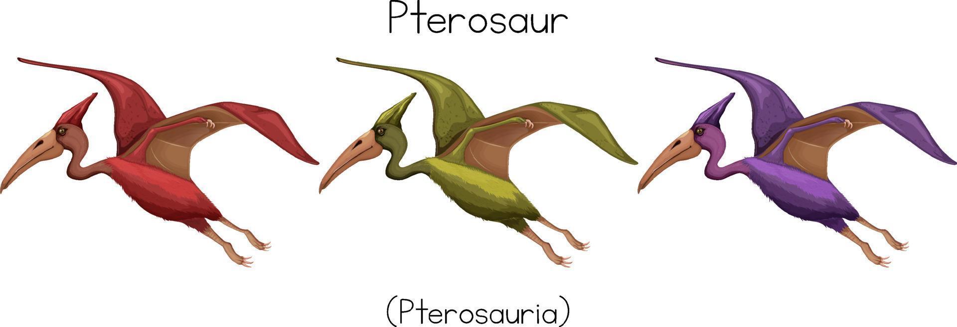 pterosaurio en tres colores vector