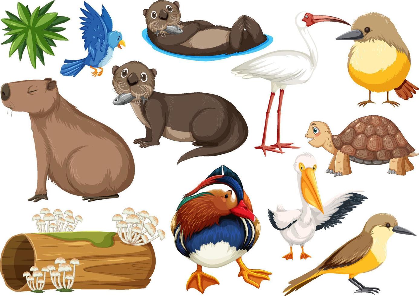 Different kinds of wild animals collection vector