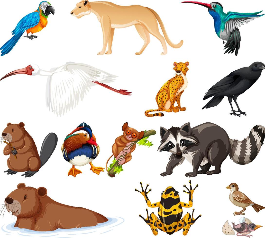 colección de diferentes tipos de animales vector