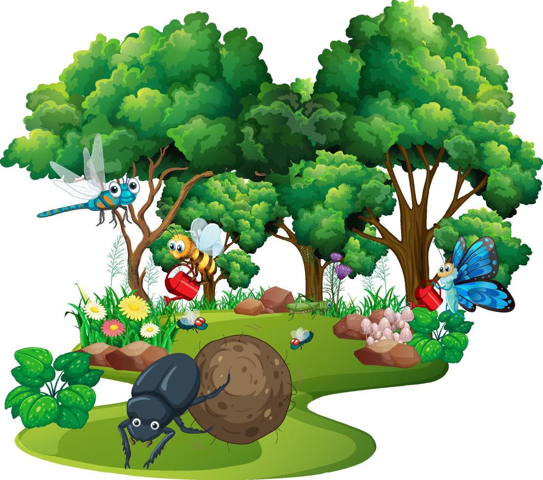 Cartoon insect and beetle in the forest vector