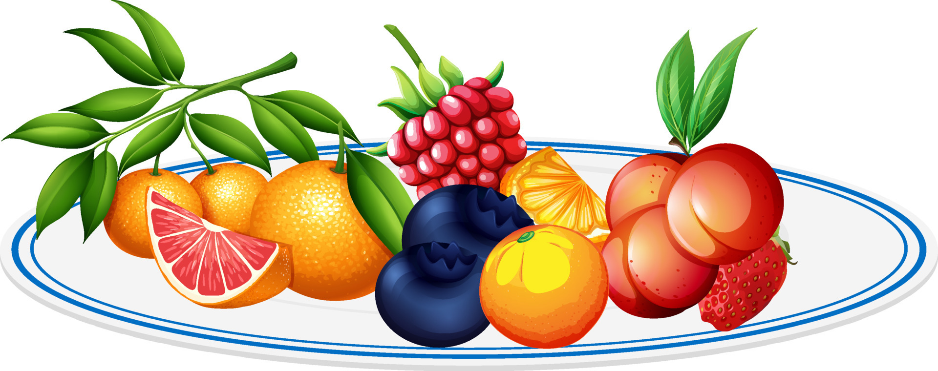 Mix Fruit Vector Art, Icons, and Graphics for Free Download