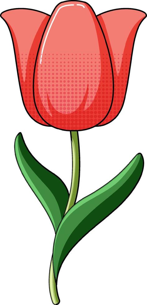 Red tulip with green leaves vector