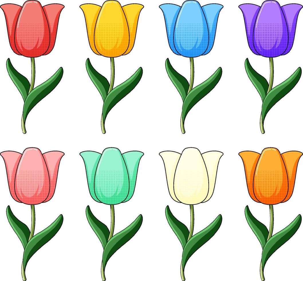 conjunto de coloridas flores de tulipán vector