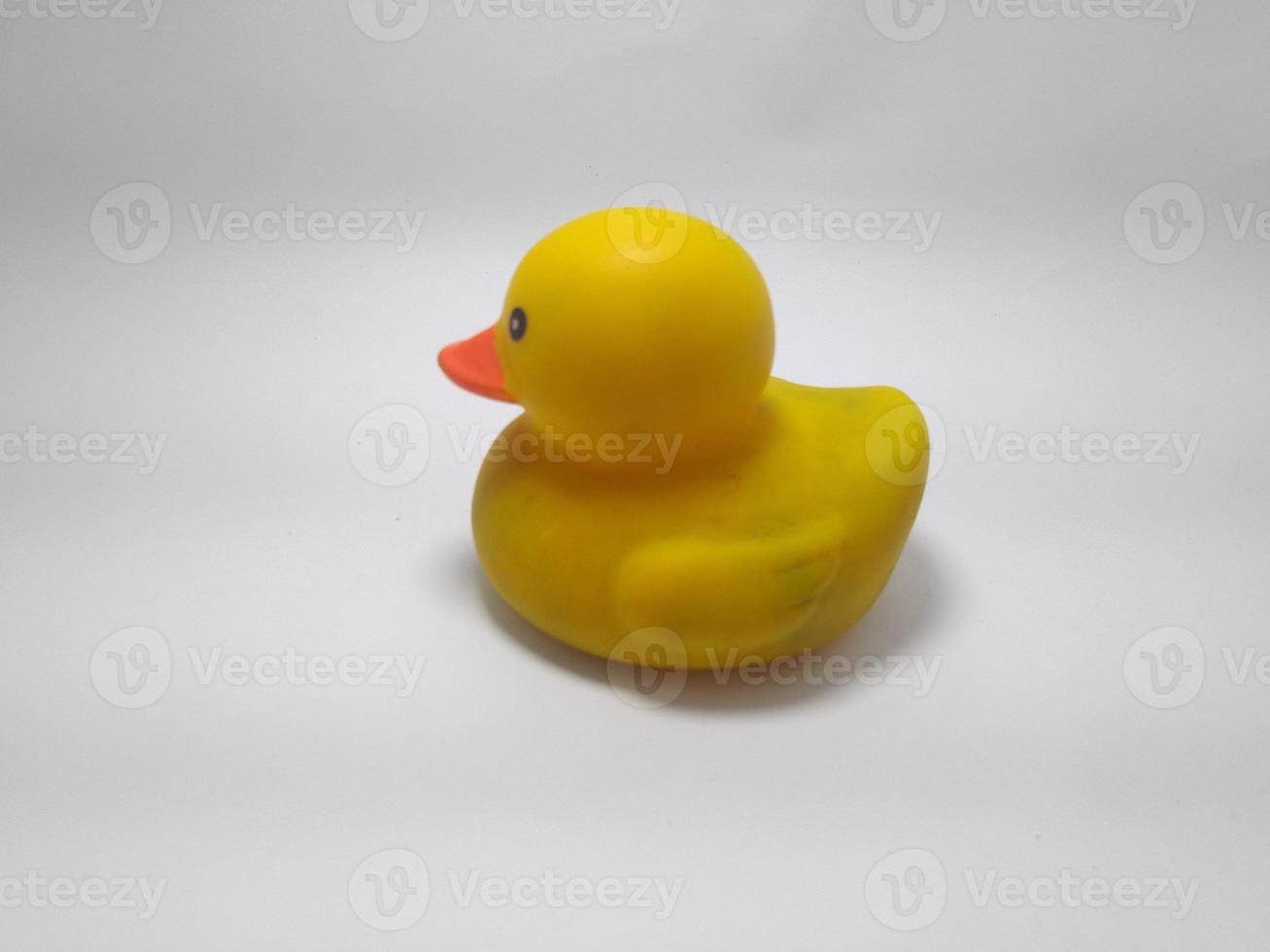 Yellow rubber duck on White Background photo