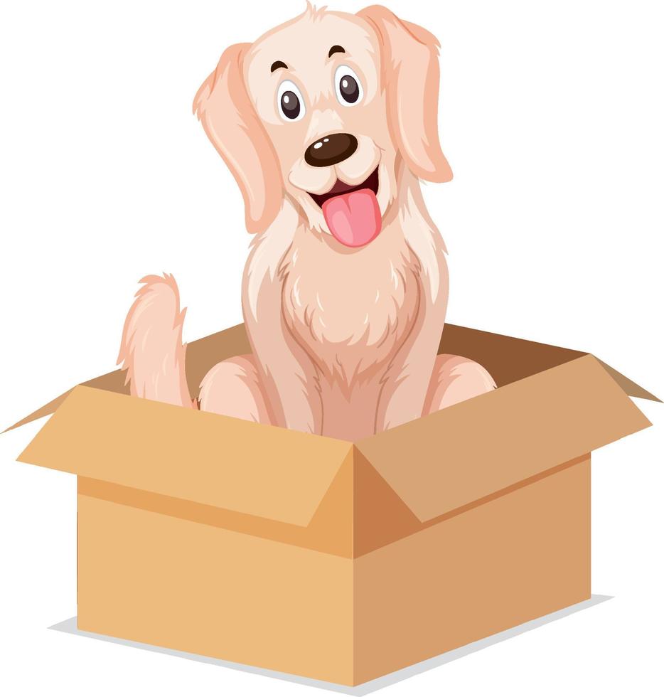 English prepositions with dog sit in the boxes vector