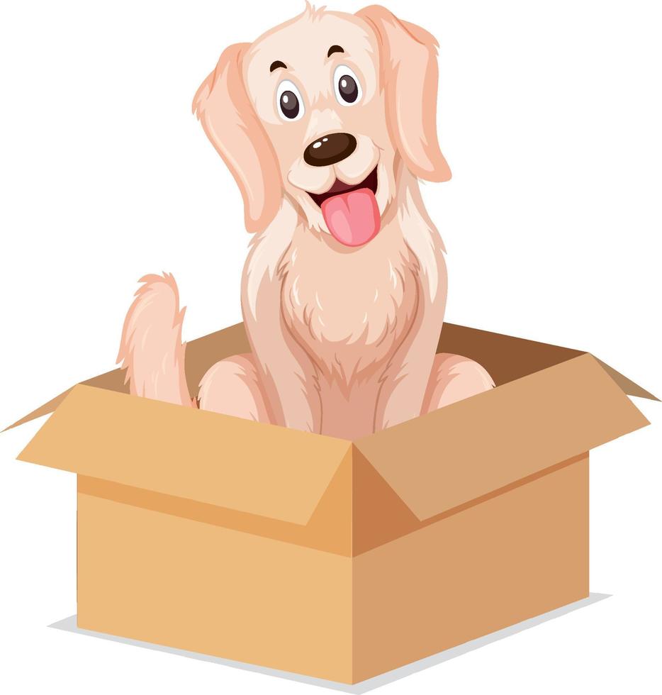 preposiciones en ingles con dog sit in the boxes vector