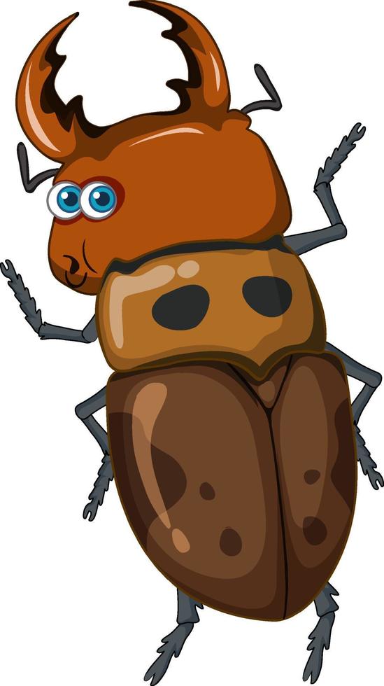 A beetle cartoon character isolated vector