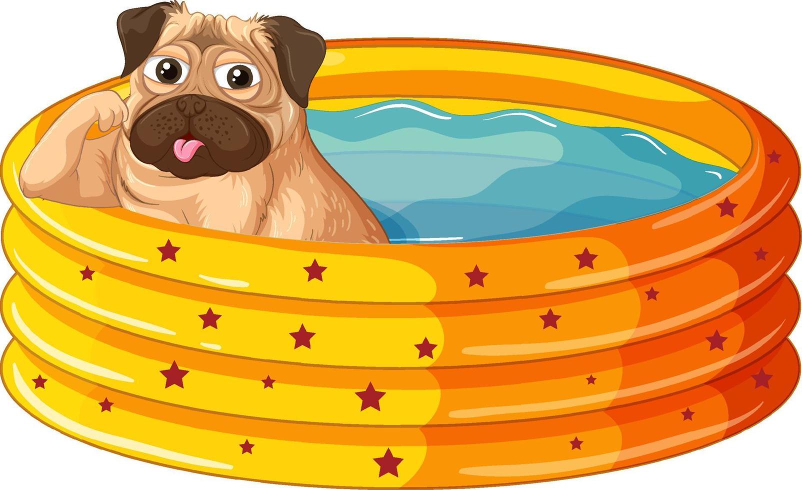 un perro pug en dibujos animados de piscina inflable vector
