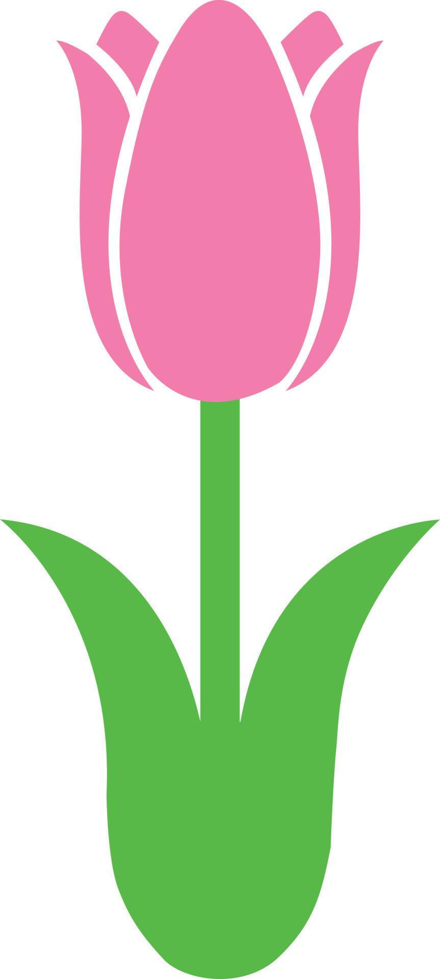Tulip Flower 5 6893151 Vector Art at Vecteezy