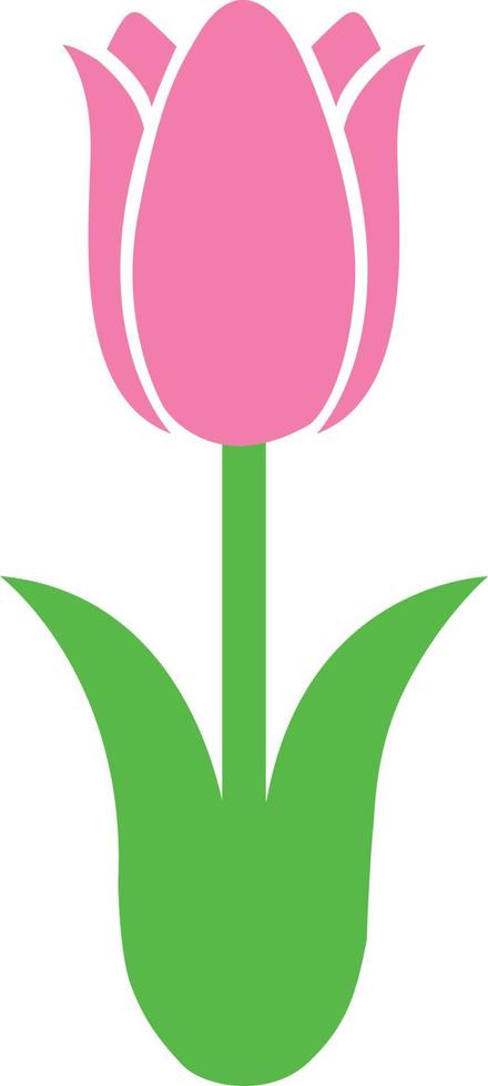 flor de tulipán 5 vector