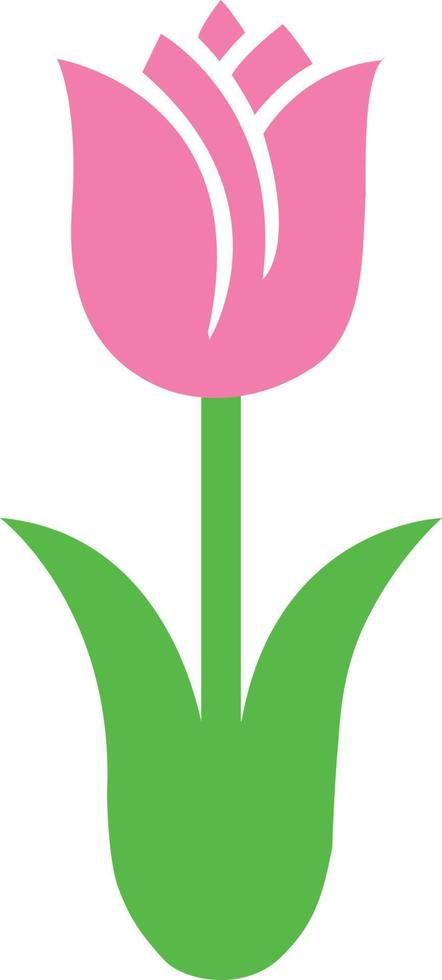 flor de tulipán 10 vector