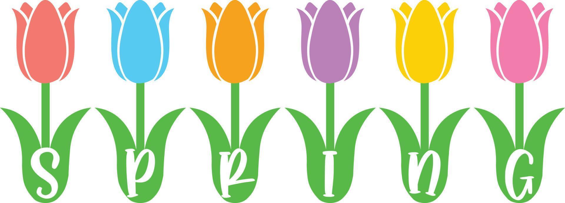 tulipanes de primavera 2 vector