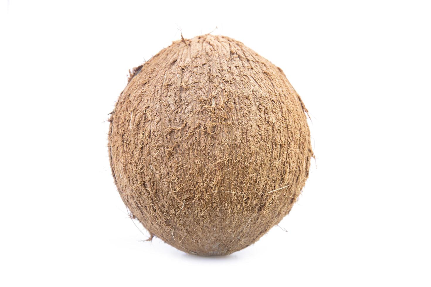 Brown coconut isolated on white background. photo