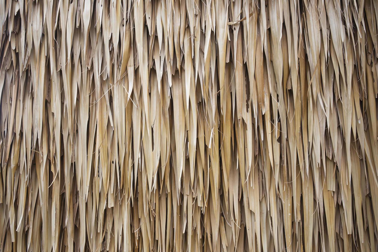 The brown hay roof is stacked on top of each other as a textured background. photo