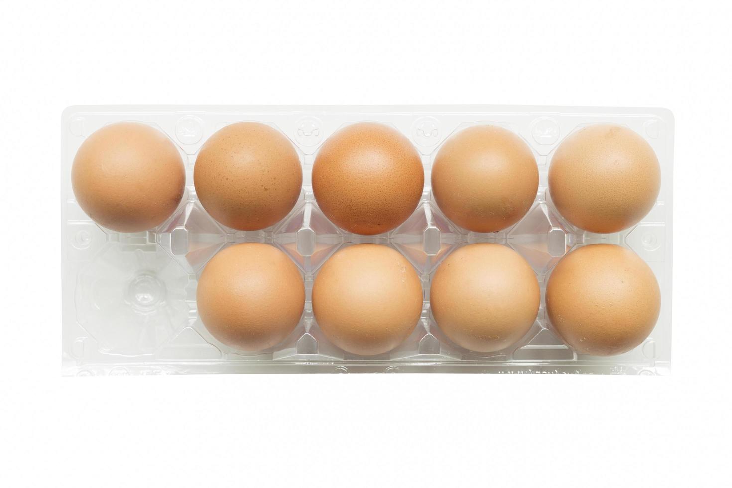 Eggs in a plastic tray on a white background. photo
