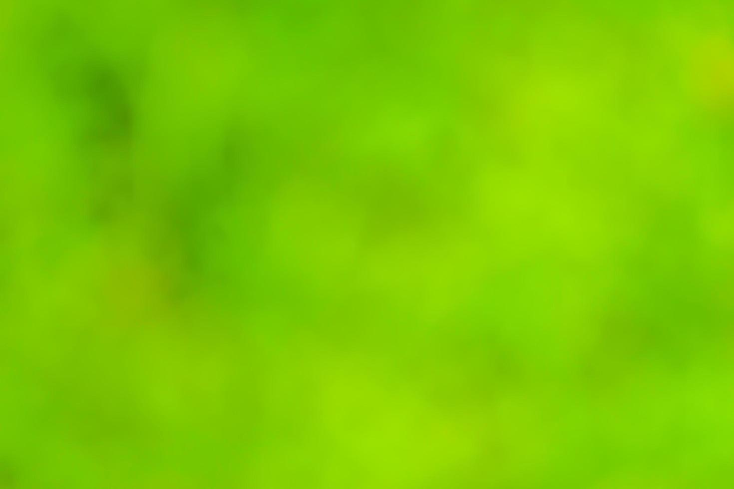 Blur green background photo