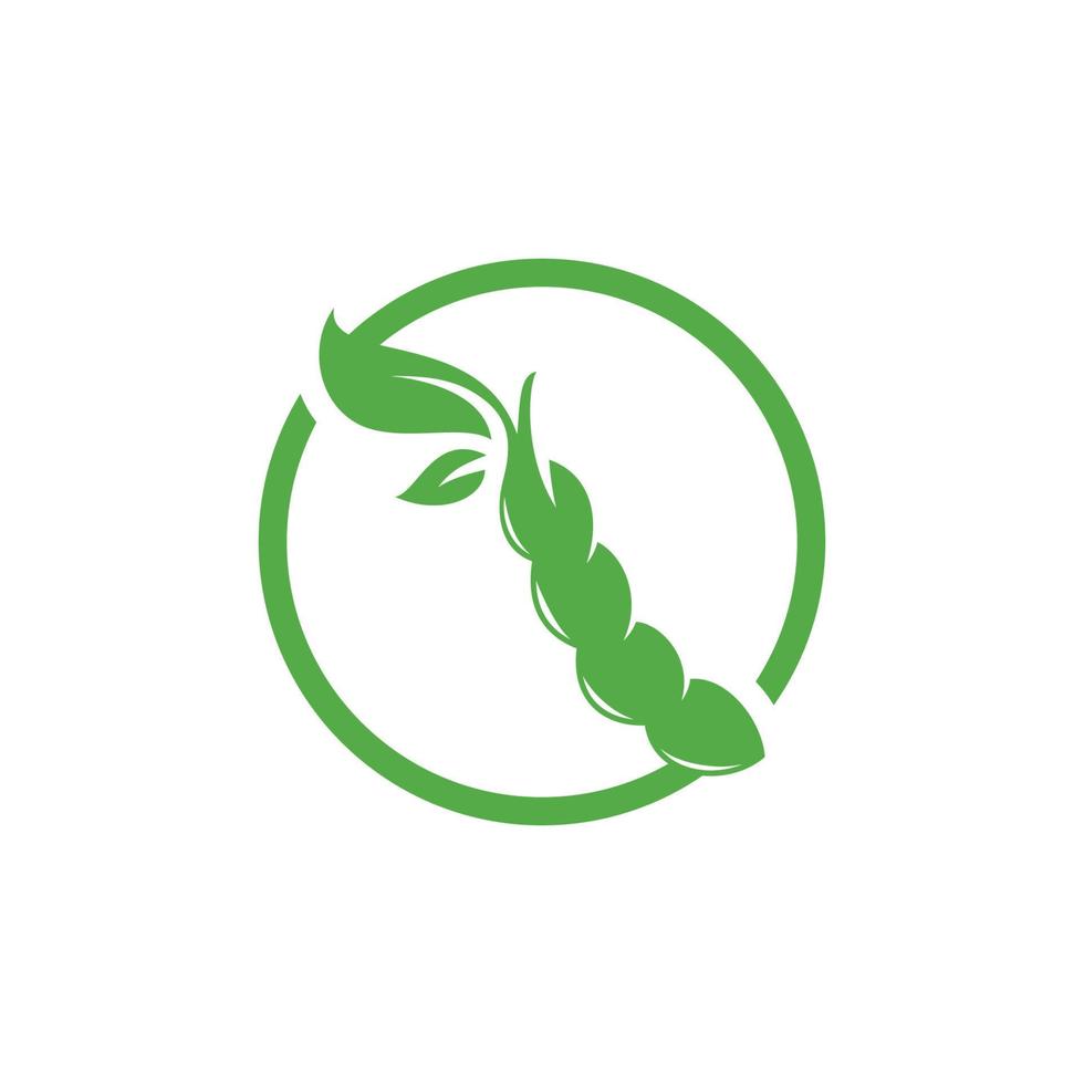 Soybean Logo vector template design. Healthy Food simple vector illustration