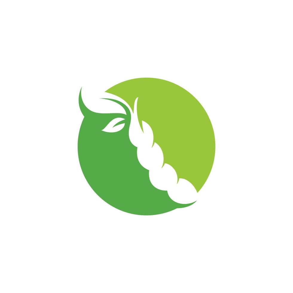 Soybean Logo vector template design. Healthy Food simple vector illustration