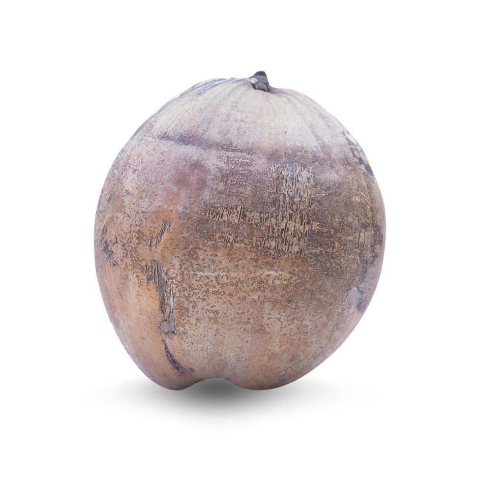 Mature coconut close-up isolated on white background with Clipping Path separate with black shadows. photo