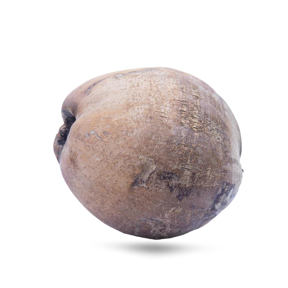 Mature coconut close-up isolated on white background with Clipping Path separate with black shadows. photo