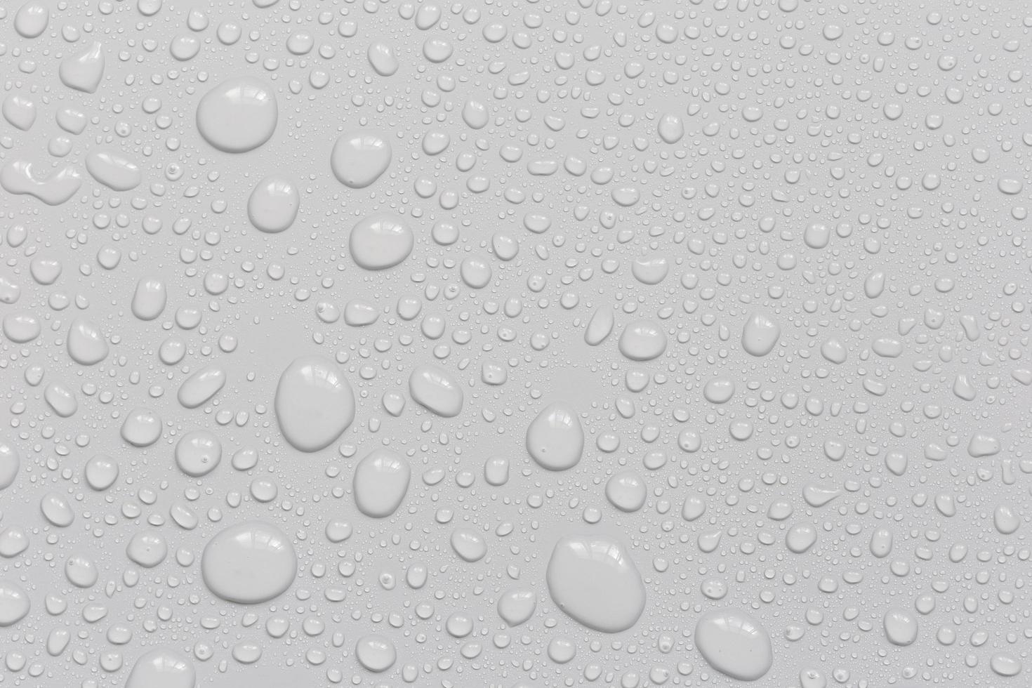 Water droplets on a gray background photo